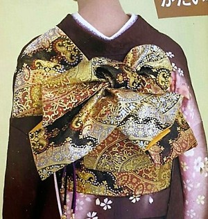 ヒダの知識を増やしたい♪