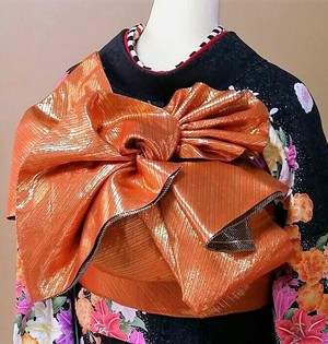 ヒダの知識を増やしたい♪